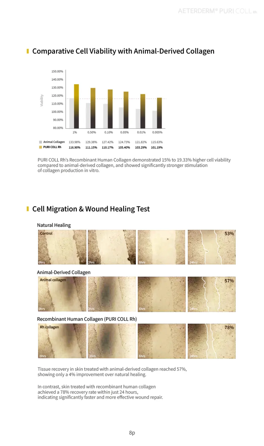 PURI COLL Rh brochure page 8
