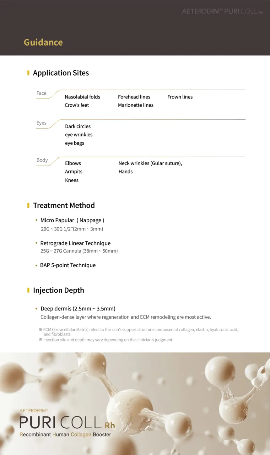 PURI COLL Rh brochure page 9