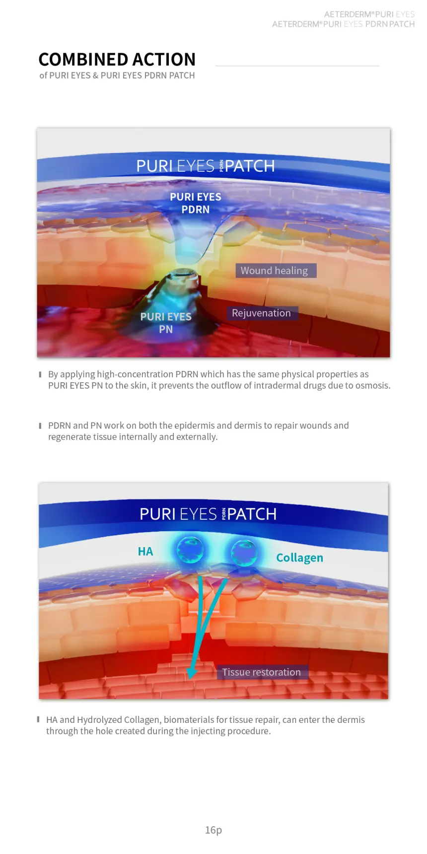 PURI EYES PDRN PATCH brochure page 16