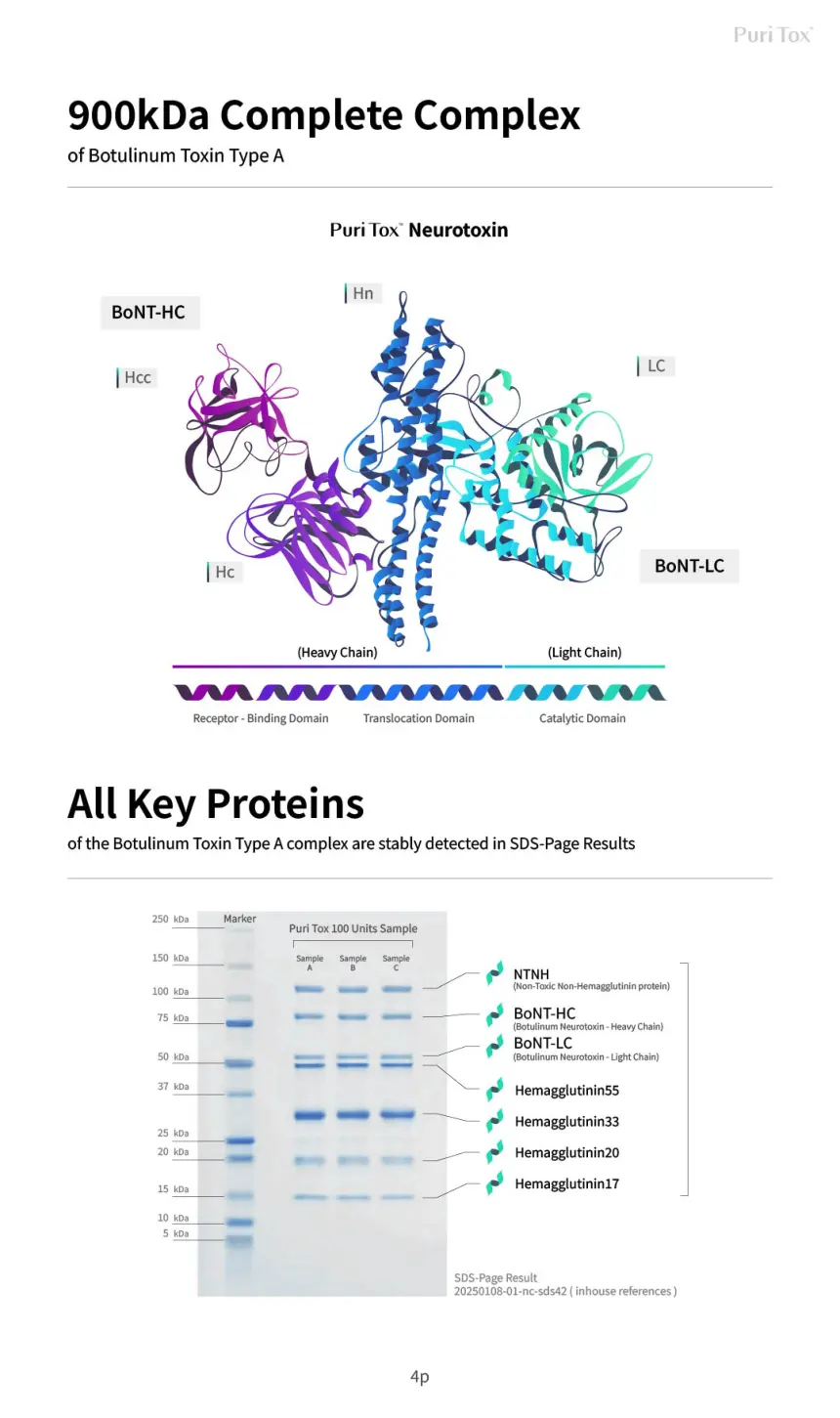 PuriTox 100units & 200units brochure page 4