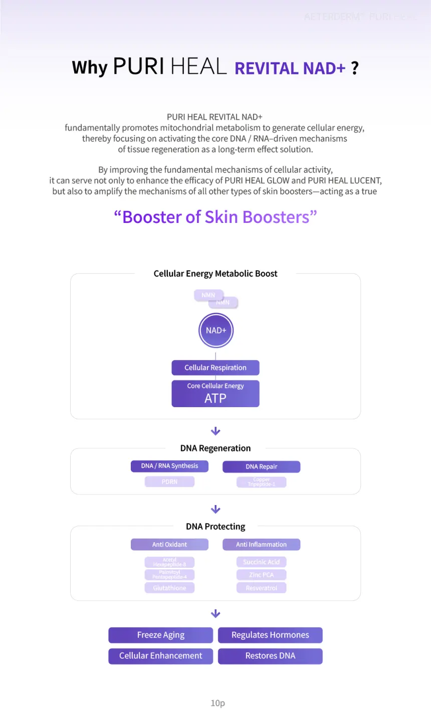 PURI HEAL GLOW brochure page 10
