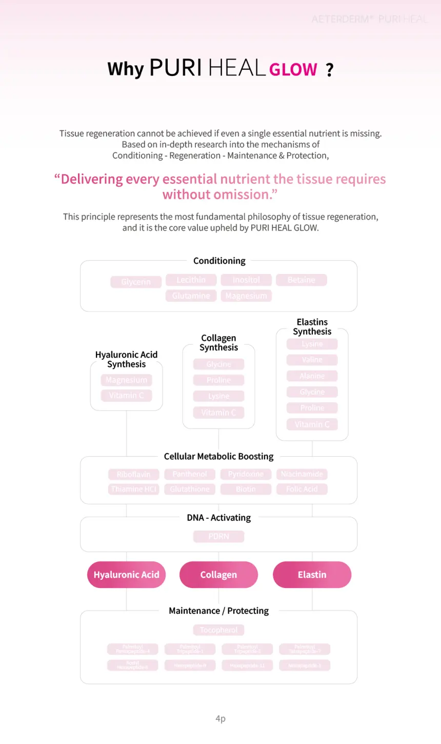 PURI HEAL REVITAL NAD+ brochure page 4