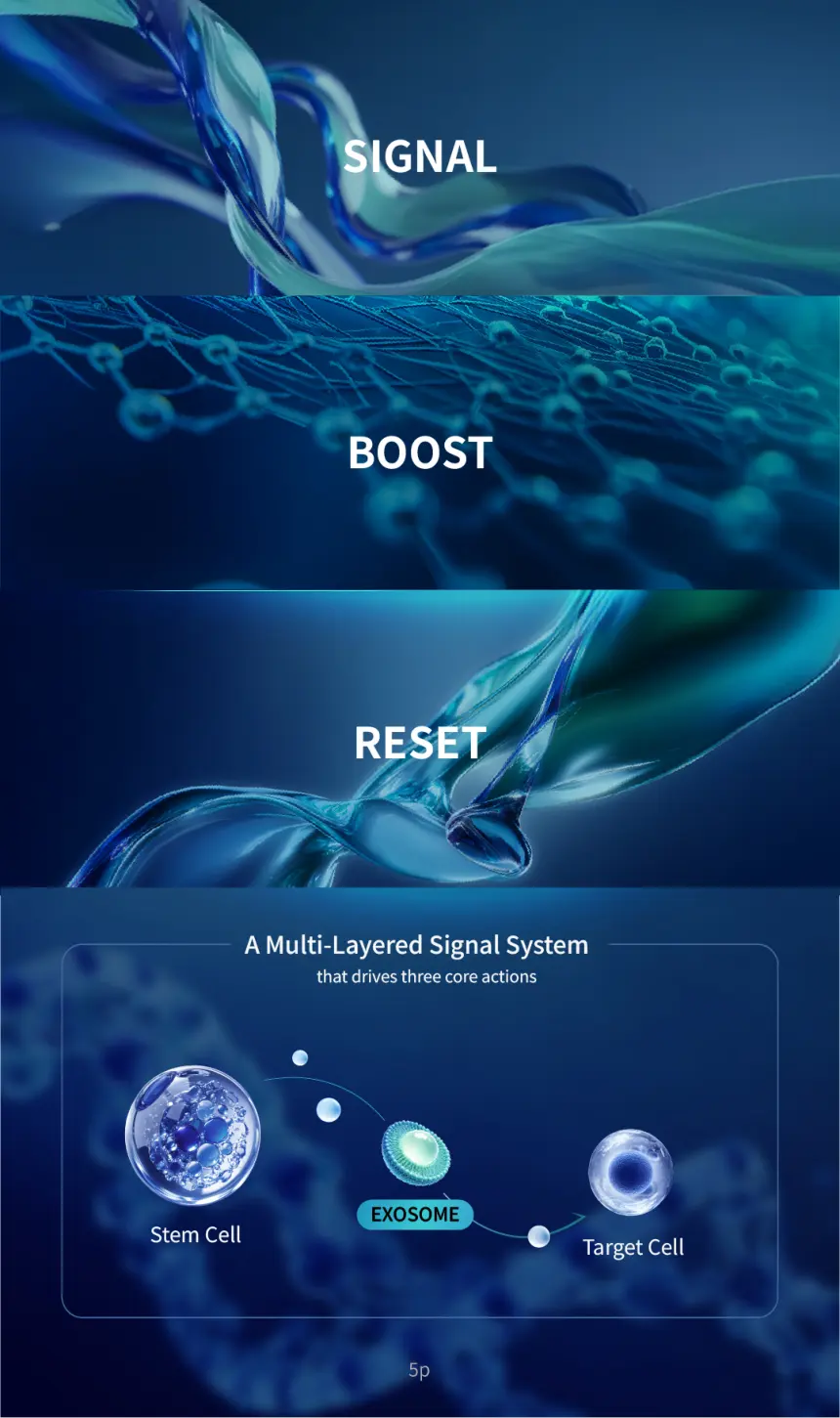 PURI HEAL 3D EXO+ brochure page 5
