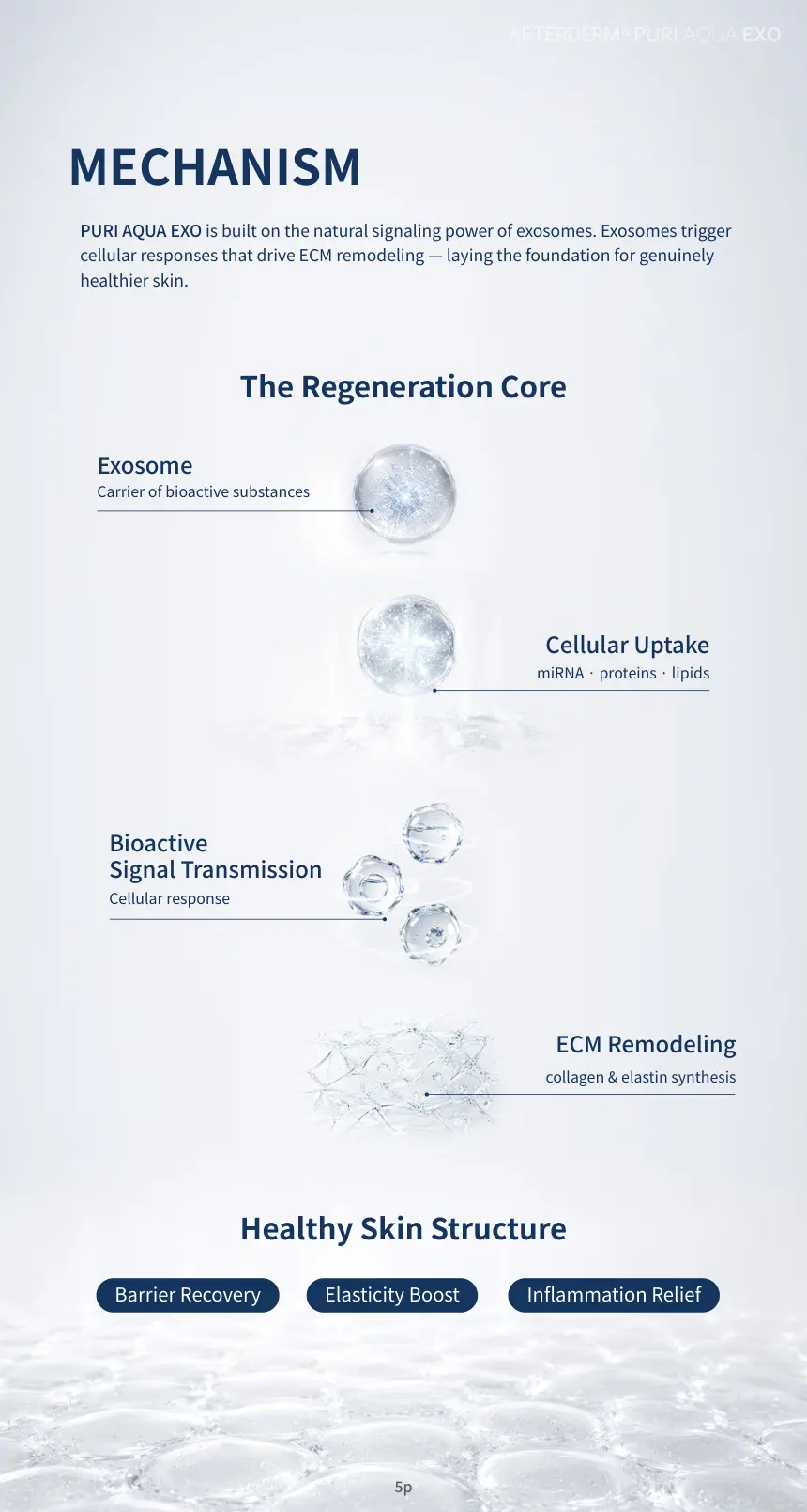 PURI AQUA EXO brochure page 5