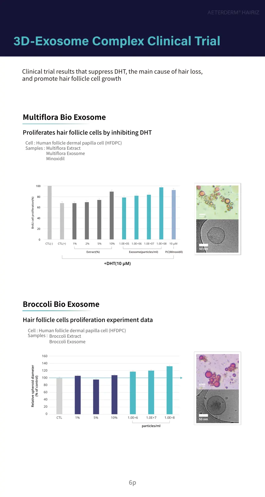 HAIRIZ 3D Exo Hair Scalp Care Filler brochure page 6