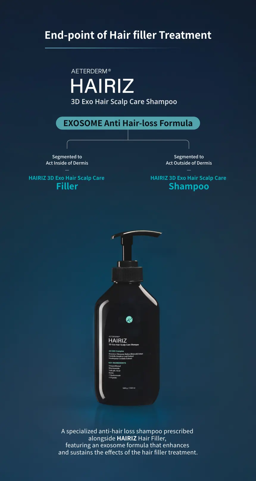 HAIRIZ 3D Exo Hair Scalp Care Filler brochure page 12
