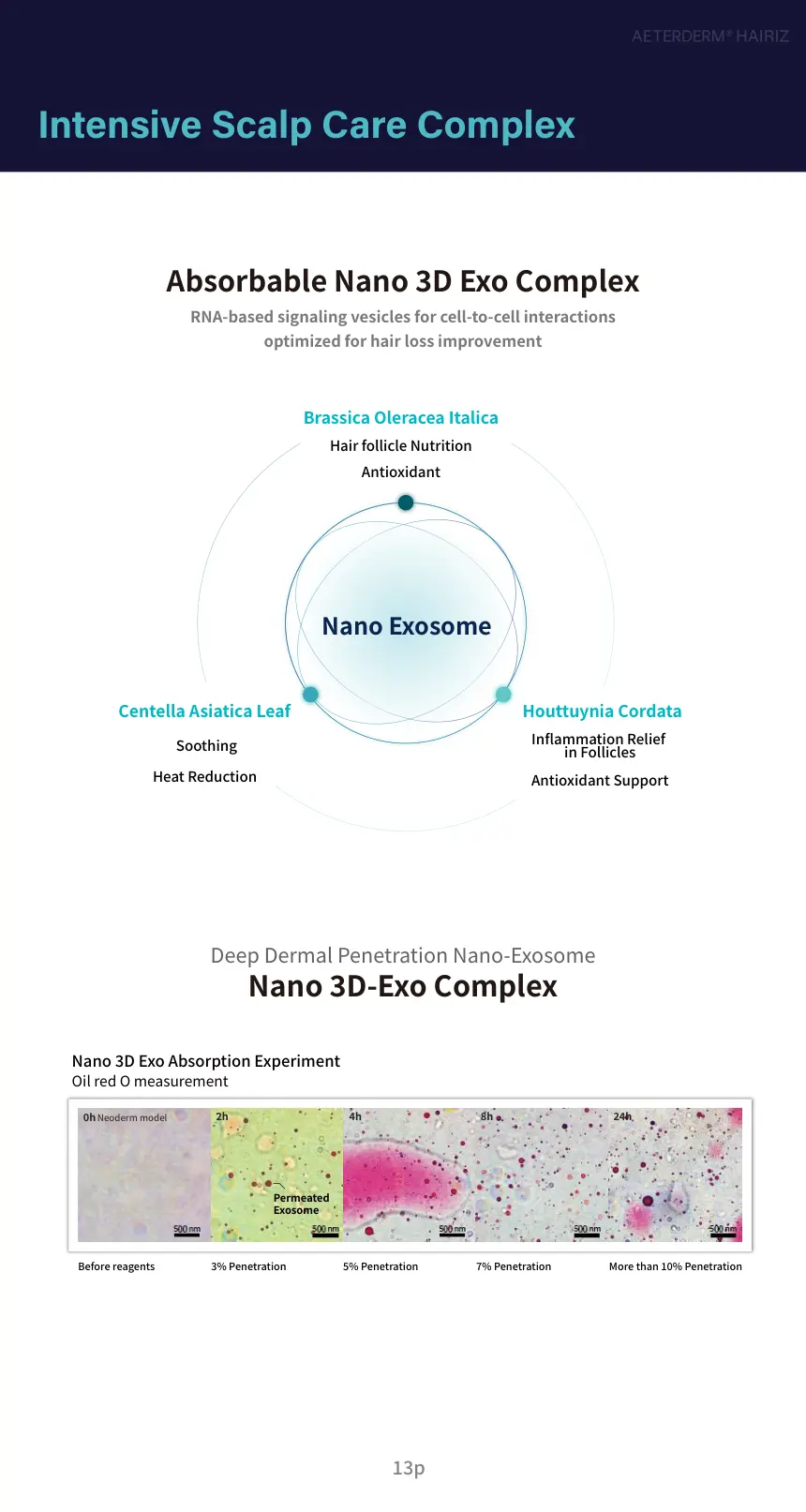 HAIRIZ 3D Exo Hair Scalp Care Filler brochure page 13