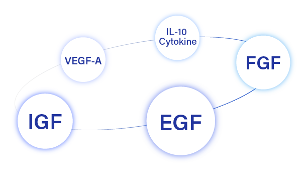 VEGF-A, IL-10 Cytokine, FGF, IGF, EGF